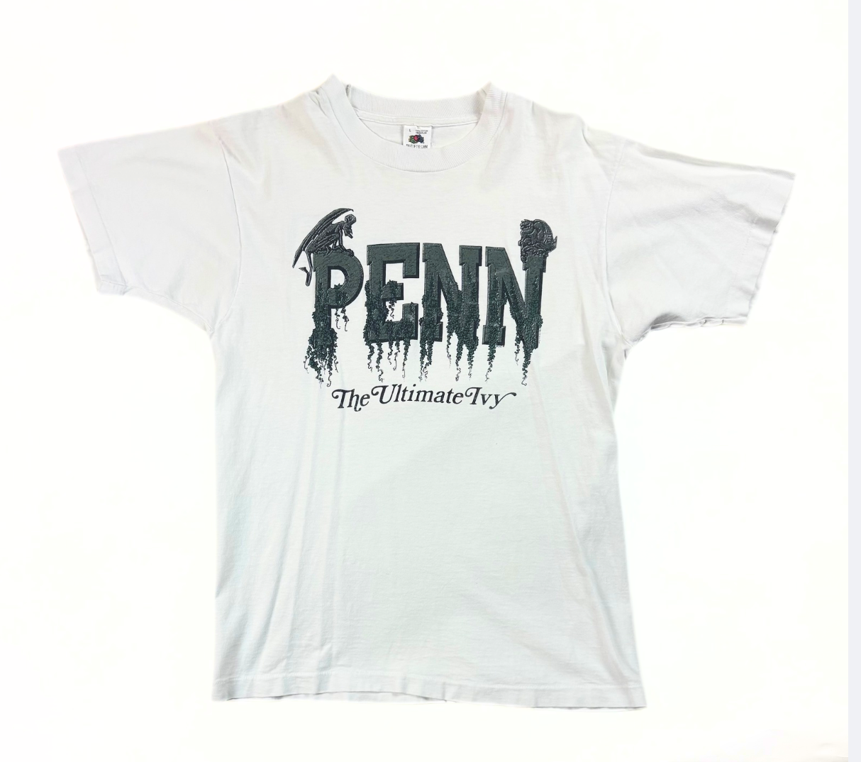 1990's Penn State Ivy Art T-Shirt